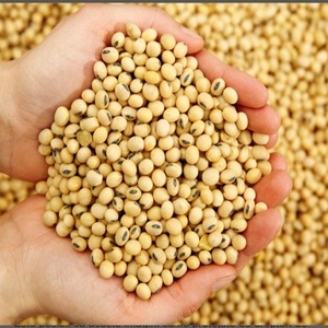 Graines de soja séchées non-OGM en vrac, riches en protéines, 25 kg, graines de soja, ventes en promotion - Product Image 1