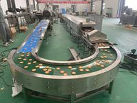 Ligne de production automatique personnalisable de biscuits fourrés à la crème pour sandwichs, biscuits croustillants et durs, machines à biscuits mous/résistants