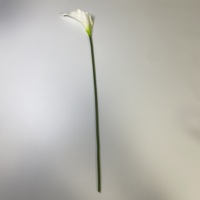 Fleurs artificielles, grandes, à longue tige, 60 cm, blanches, modernes, décoration de mariage, calla lilies au toucher réel, fleurs artificielles