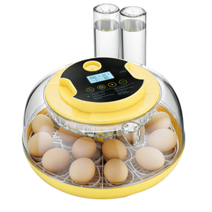 Incubadora de Huevos Grande de 18 Huevos, Totalmente Automática, con Control Preciso de Temperatura y Humedad, Venta Caliente 2026, Envío desde Almacén en EE. UU. - Product Image 5