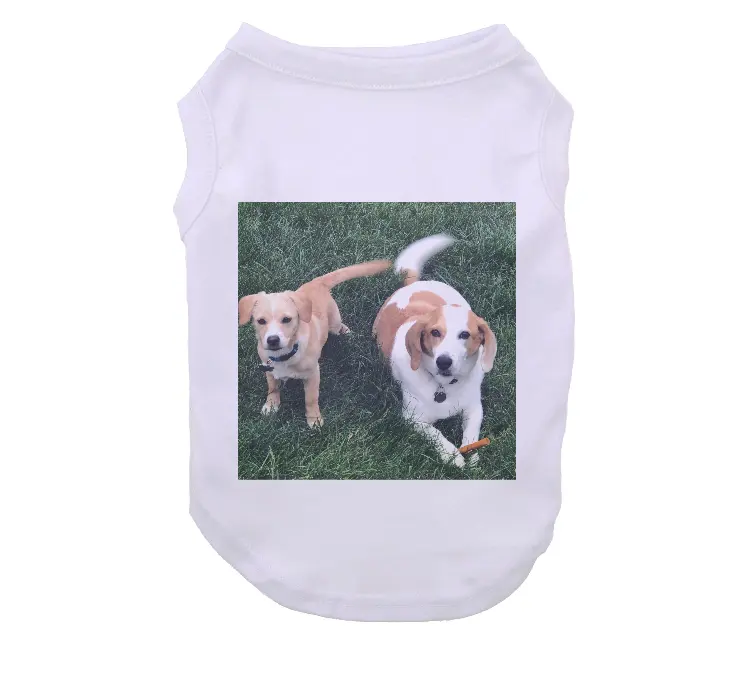 Vêtements pour chiens vierges designer polyester vêtements pour animaux de compagnie chemises blanches pour chiens chemises pour chiens de sublimation