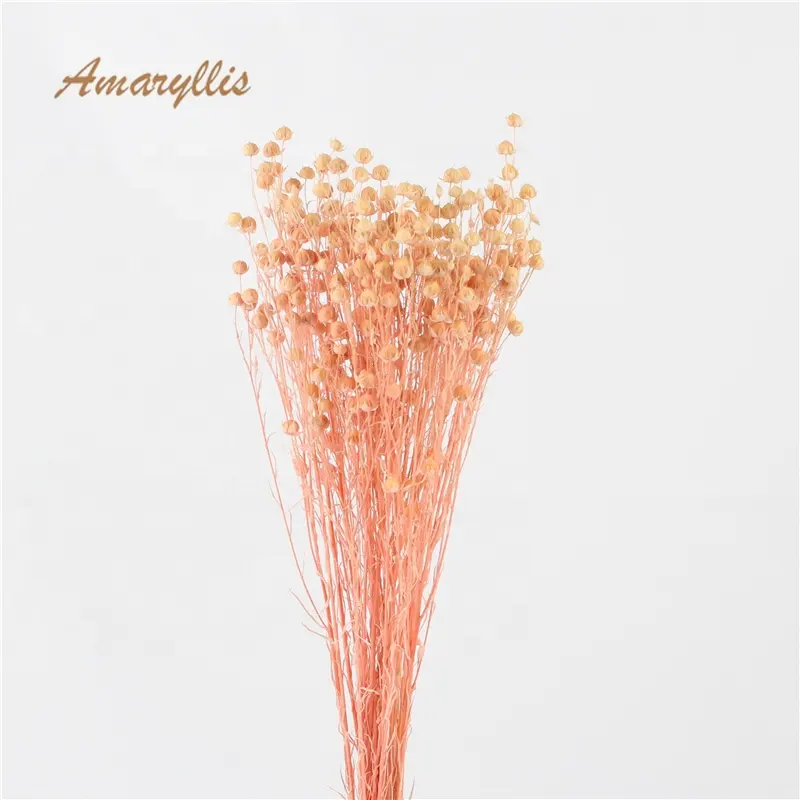 Amaryllis Yunnan, оптовая продажа, сушеная трава с единорогом, декоративные цветы, трава faberi, неизменно отбеленная, насыщенная трава, льняной фасоль