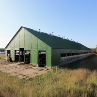 Nave Avícola de Acero a Gran Escala con Sistema de Silo de Alimentación, Moderna Planta Avícola para Pollos de Engorde y Ponedoras