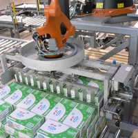Système de palettisation automatique de haute qualité, nouvelle ligne de production, prix personnalisé, robot palettiseur, robot empileur