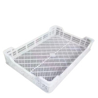 Caisse rectangulaire en PEHD de qualité alimentaire pour fruits de mer et poissons, panier multi-usages en maille recyclable et bien ventilé, plateau de séchage