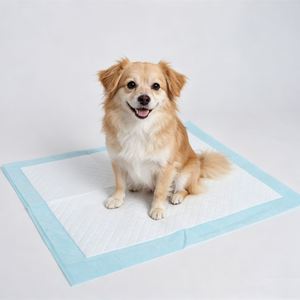Low Price Wholesale Anti Leak Puppy Pee Splash Waterproof Disposable Pet Pads Folded Underpads Dog Training Pad - Product Image 1