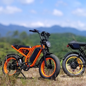Bicicleta Eléctrica de Montaña al por Mayor, 20 Pulgadas, 48v/52V, 16ah/20AH, Neumáticos Anchos, Bicicleta Híbrida para Adultos, Modelo SU8 - Product Image 1