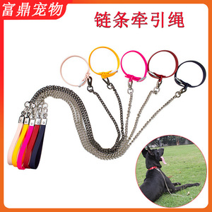 Laisse pour chien en acier inoxydable, collier enduit de PVC pour chiens de taille moyenne et grande, tels que les Golden Retrievers et les Labradors. - Product Image 5