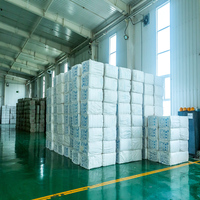 Vente directe d'usine rdp vae mur mastic chimique VAE émulsion redispersible polymère RDP poudre ciment blanc