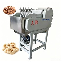 Machine à casser les noix de cajou à haute efficacité, 1,5 kW, économie d'énergie, pour la transformation commerciale des noix