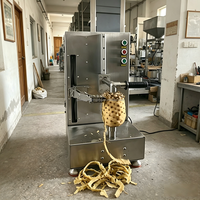 Multifunctionele industriële automatische hoogwaardige roestvrijstalen fruit- en schilmachine voor ananas, cantaloupe, pompoen en aubergine