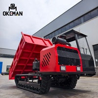 5 Tonnen Euro 5 Diesel Neuer Raupendumper mit Verstärktem Schwerlastchassis Linkslenkung Extrem Starke Steigfähigkeit