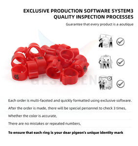 100Pc Open Plastic Clip Genummerd 10Mm Duivenbanden Plastic Clip Vogelring Met Serienummer 1-100 - Product Image 5