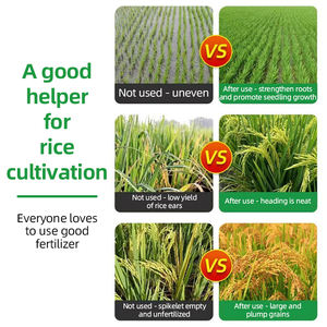 <span class=keywords><strong>ปุ๋ย</strong></span><span class=keywords><strong>น้ำ</strong></span>กรดอะมิโนอินทรีย์สำหรับข้าว ช่วยเสริมสร้างภูมิต้านทานโรค สูตร<span class=keywords><strong>น้ำ</strong></span>ละลายเร็ว - Product Image 4