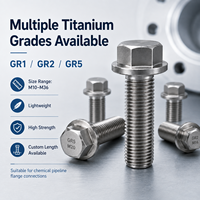 Boulon à bride hexagonale en titane GR1 GR2 GR5 M10-M36 pour bride de pipeline chimique ASME B16.5, résistant à la corrosion, OEM