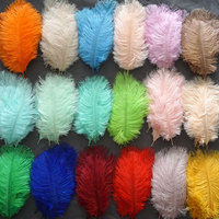 Plumes de décoration de grande taille en plumes d'oiseaux d'Afrique du Sud, couleur orange véritable, 45-50 cm, pour décoration de carnaval, plumes blanches pour la chapellerie, pour la décoration de mariage