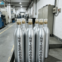 Bouteille de gaz CO2 en aluminium ZX TPED 0,6L 2L 4L AA6061 avec valve CGA320, rechargeable, pour boissons gazeuses, personnalisable