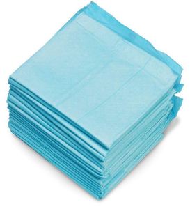 Tapis absorbant jetable en coton épais et léger pour animaux de compagnie, coussin de protection contre l'urine pour chiens et chats, tapis d'entraînement désodorisant pour l'extérieur - Product Image 1