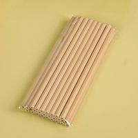 Crayon de voyage biodégradable en bois naturel noir HB 2B, format mini, pour hôtel et bureau – Offre Spéciale