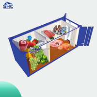 Conteneur frigorifique de 20 pieds, chambre froide pour le stockage de poissons, de viande et d'aliments, congélateur de conteneur