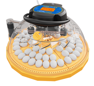 "Khả năng nở cao hơn Máy ấp trứng hoàn toàn tự động cho gia cầm, Máy ấp trứng tự động nhỏ trong gia đình" - Product Image 3