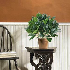 GM Feuilles d'<span class=keywords><strong>eucalyptus</strong></span> artificielles Tiges Faux Greenery Garden Window Box Branches for Courtyard Outdoor Christmas Easter New Year - Product Image 2