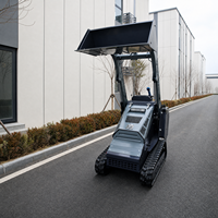 Chargeuse compacte sur pneus en gros avec plusieurs accessoires pour la construction mondiale, haute efficacité opérationnelle pour l'agriculture