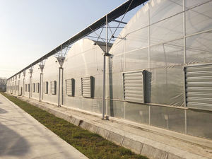 MYXL 配备排气扇湿帘番茄隧道温室带冷却系统 - Product Image 2