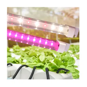 पौधों, सब्जियों, फलों के खिलने के लिए कम कीमत वाली T4 LED ग्रो लाइट ट्यूब, होम ऑफिस हॉर्टिकल्चरल ग्रीनहाउस वर्टिकल फार्म में बीज