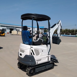 Miniexcavadora Hidráulica Terlion CE con Motor y Bomba, 1 Año de Garantía, para Preparación de Terrenos - Product Image 4