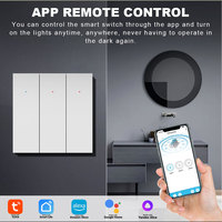 Modul Saklar Lampu Pintar 240V Saklar Lampu Tombol Tekan Wifi Pintar 1/2/3/4 Gang Alexa Google Home Saklar Dinding Wifi Pintar