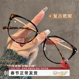 Montura de gafas Danyang Cat Eye 86093 con protección contra la luz azul para mujer, lentes de PC - Product Image 2