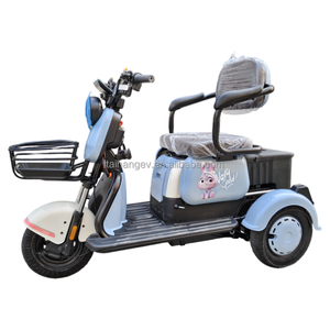 Tricycle électrique scooter pousse-pousse pour adultes, deux <span class=keywords><strong>places</strong></span>, <span class=keywords><strong>3</strong></span> vitesses, 600W, 48V - Product Image 4