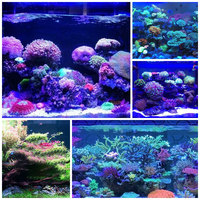 Contrôleur de temps d'éclairage d'aquarium DC 12V 24V 8CH PC Programmable Fish Tank LED Strip time programme Dimmer TC420 TC421 Controller
