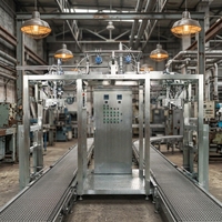 Ligne de production de jus de carotte hautement automatisée, marque Qianwei, capacité personnalisée, 380V