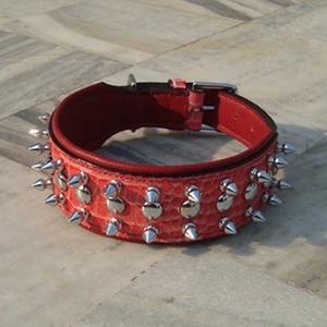 Haute Qualité Réglable Alligator Imprimer Buffalo Indien Collier De Chien En Cuir Rembourré Caractéristique Pointu Décoration Animal Motif Rivet - Product Image 1