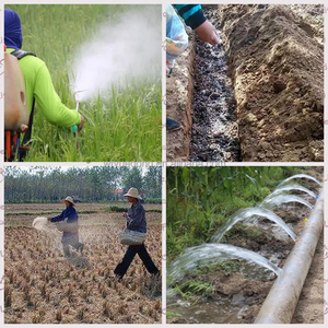 <span class=keywords><strong>ปุ๋ย</strong></span>อินทรีย์จุลินทรีย์<span class=keywords><strong>ปุ๋ย</strong></span>แบคทีเรียปุ๋ยชีวภาพ - Product Image 2