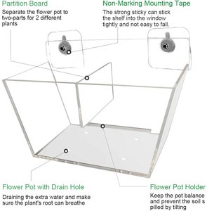 Boîtes <span class=keywords><strong>de</strong></span> plantation en acrylique avec ventouse, support créatif <span class=keywords><strong>pour</strong></span> Pot <span class=keywords><strong>de</strong></span> fleurs, plateau <span class=keywords><strong>de</strong></span> plante, grand cadeau décoratif <span class=keywords><strong>pour</strong></span> l'extérieur et l'intérieur - Product Image 2