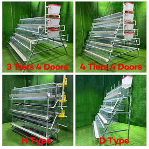 Lồng nuôi gà mái đẻ, chuồng nuôi gia cầm, trang trại chăn nuôi, sức chứa 1000 con, 4 tầng, giá rẻ, dành cho Philippines - Product Image 2