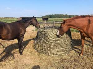 Rede de Segurança de Nylon PP Plástico para Feno com Furos de 5 cm 5'x4' Grande Alimentador Lento Cilíndrico Forte e Durável para Cavalos - Product Image 2