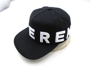 Réplica <span class=keywords><strong>Steelers</strong></span> China Velvet Dad nuevo algodón hombres béisbol para mujeres 3D Puff bordado hombres sombreros Snapback gorras - Product Image 5