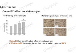 Líquido de extracto de cacao a base de hierbas para la salud del cuero cabelludo y la protección de la fuerza del folículo - Product Image 4