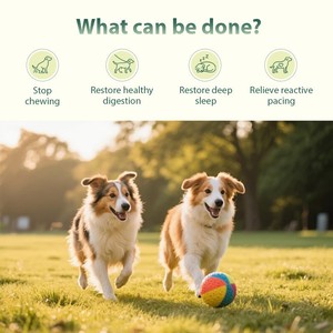 Gocce Liquide Naturali a Base Vegetale <span class=keywords><strong>per</strong></span> il Supporto Intestinale degli Animali Domestici, Cura Quotidiana dell'Intestino <span class=keywords><strong>per</strong></span> <span class=keywords><strong>Cani</strong></span> - Product Image 4