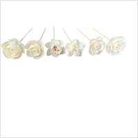 4.5cm 5cm 6cm 8cm nouveau Design arôme roseau diffuseur fleurs à la main Sola bois fleur