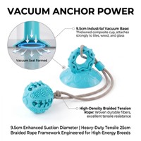 Jouet à mâcher pour chien en TPR à ventouse, type Tug-of-War, avec forte aspiration, nettoyage des dents et design écologique – Prix usine