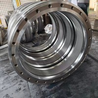 Matrice annulaire en acier inoxydable pour machine à granulés Andritz PM30, pièces de rechange durables pour moulin à aliments, haute résistance à l'usure