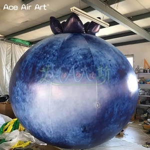 Globos Inflables Gigantes de Arándanos de 5 m, Modelos de Frutas Inflables para Publicidad de Apertura de Tiendas, Arándanos Inflables para Eventos - Product Image 5