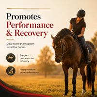 Complément Liquide pour Cellules Rouges Equines OEM 1 Gallon - Booster de Fer, Vitamines et Minéraux pour l'Endurance et la Défense Immunitaire des Chevaux