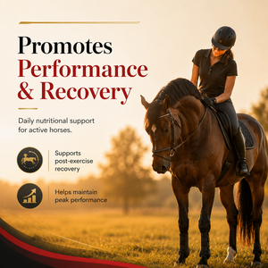 Suplemento Líquido para Células Rojas Equinas OEM, 1 Galón - Refuerzo de Hierro, Vitaminas y Minerales para la Resistencia y Defensa Inmunológica del Caballo - Product Image 3