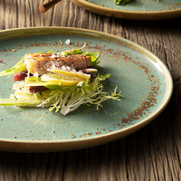 Restaurant Hôtel Banquet Style Japonais Porcelana Plateau Durable Glaçure Grossière Vert Tacheté Rétro Vert Céramique Ovale Plat Assiette